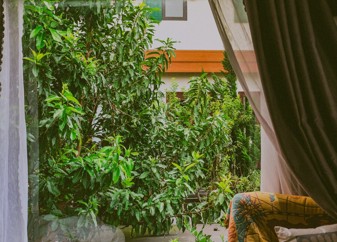 peaceful home garden view